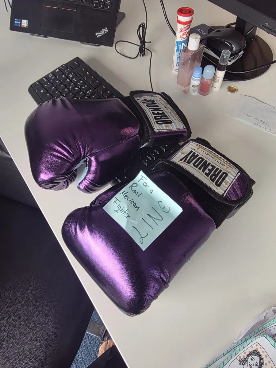 A pair of purple boxing gloves on a desk