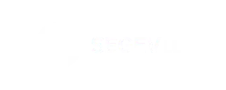 Segev LLP